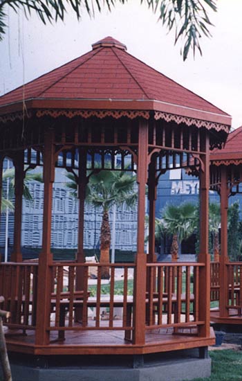 American Dream Special