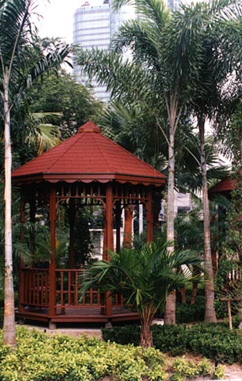 American Dream Special